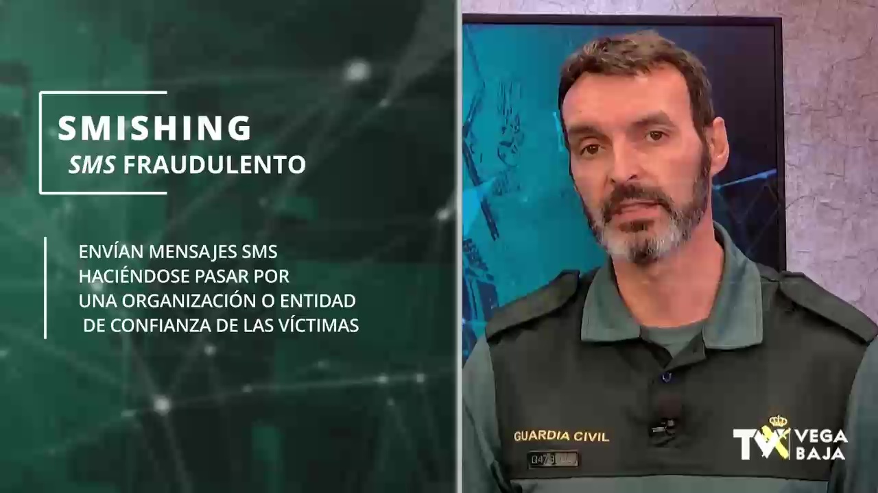 Programa 11 - Ciberdelincuencia